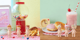 Snack Series *Limited Stock*