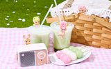 Cherry Blossom Hippers *Limited Edition*